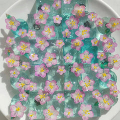 When the Blossom Pauses